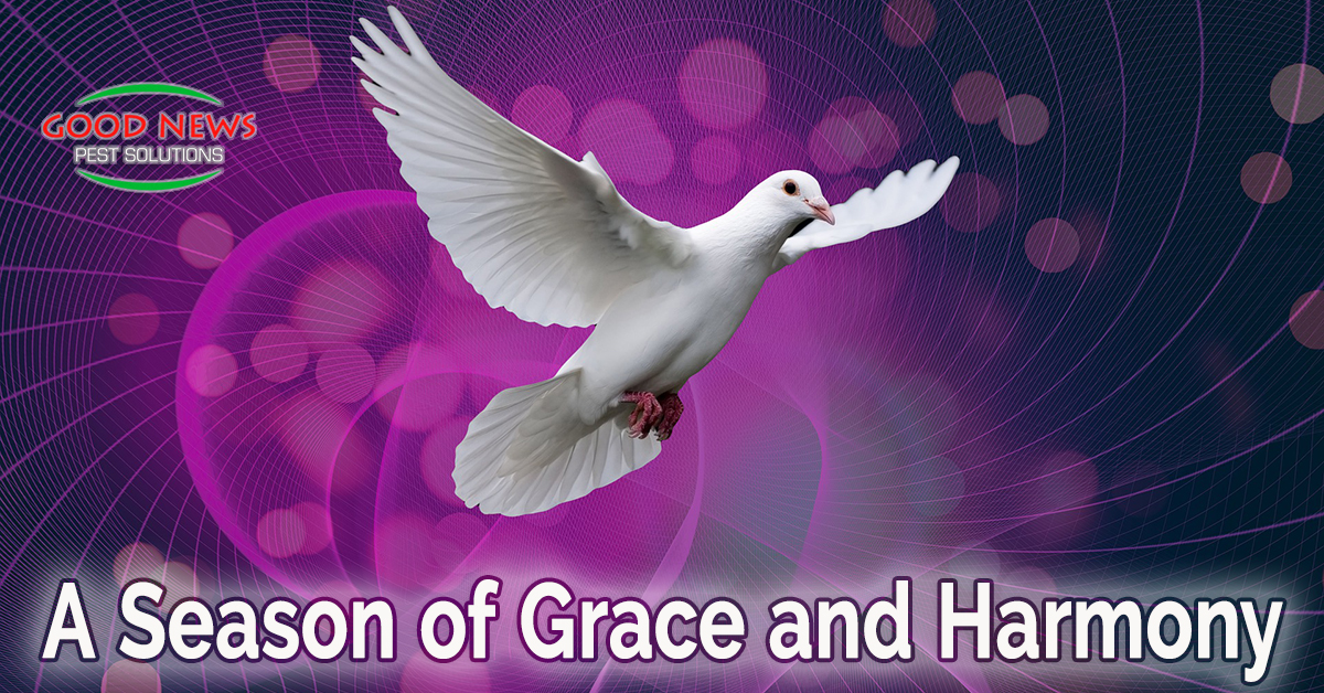 A Season of Grace and Harmony