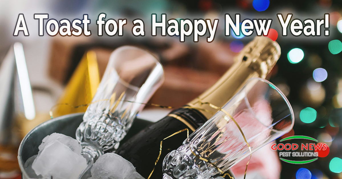 A Toast for a Happy New Year!