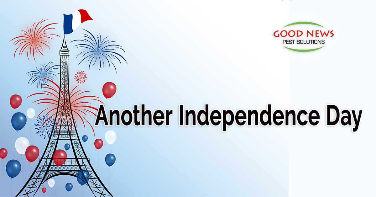 Another Independence Day