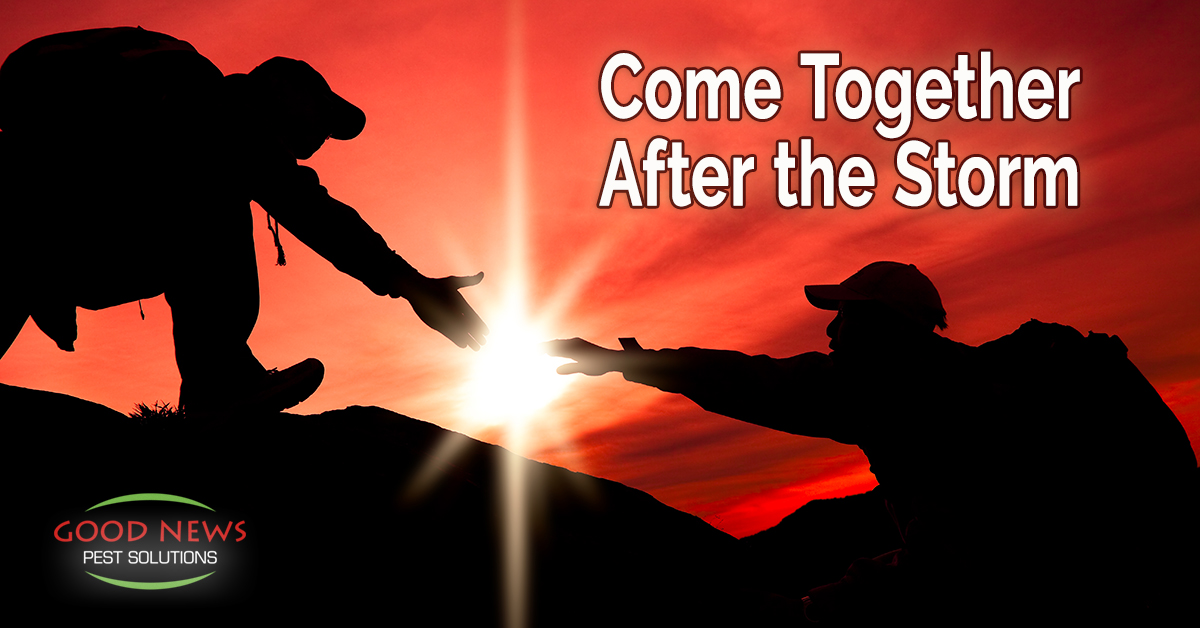 Come Together After the Storm