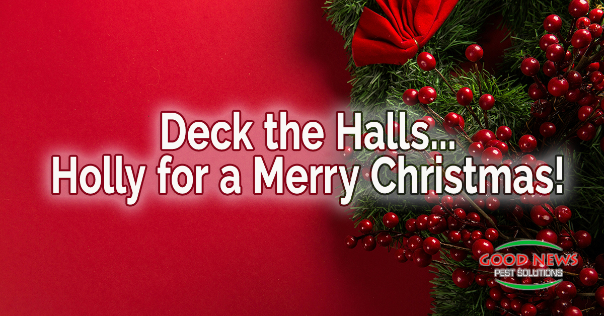 Deck the Halls... Holly for a Merry Christmas!