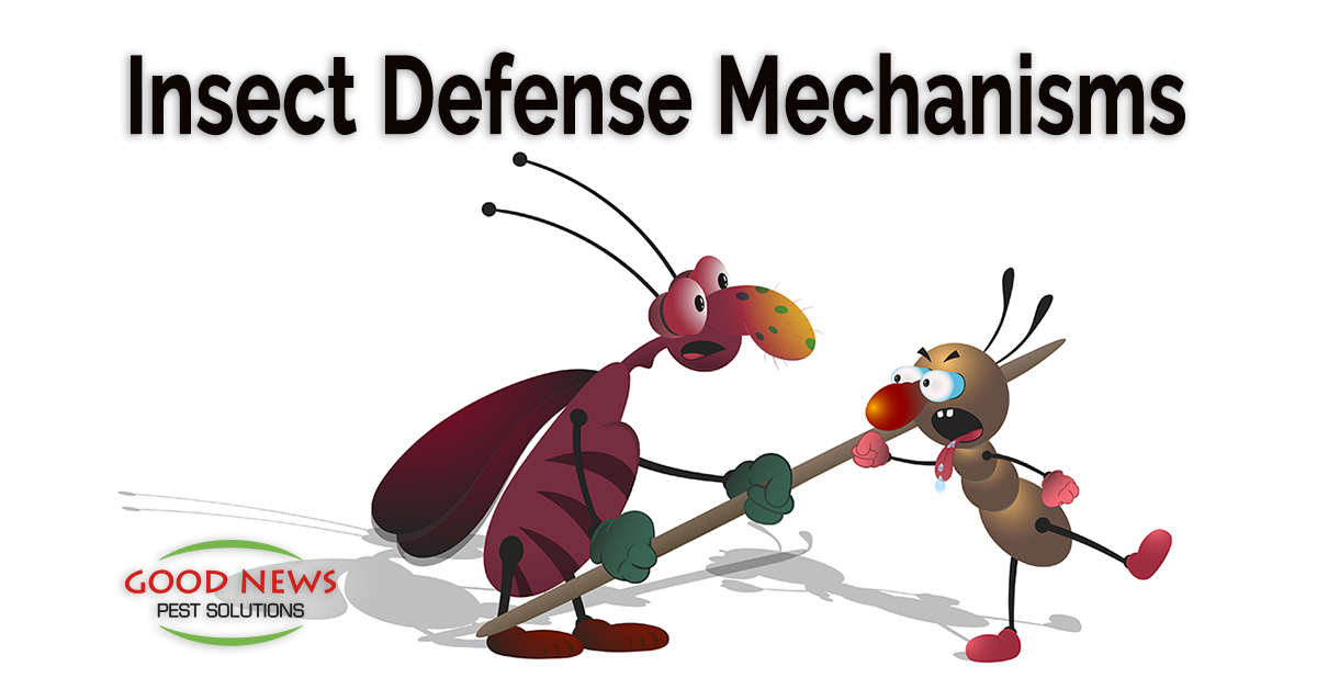 Insect Defense Mechanisms