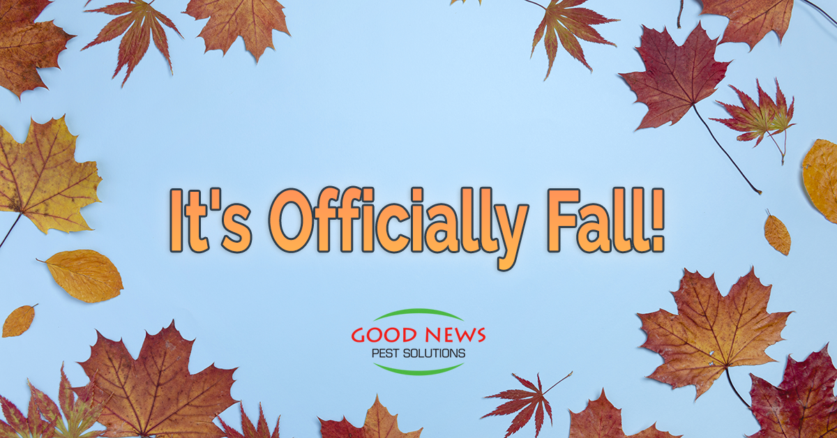 It's Officially Fall! Pest Control in Venice, FL Good News Pest