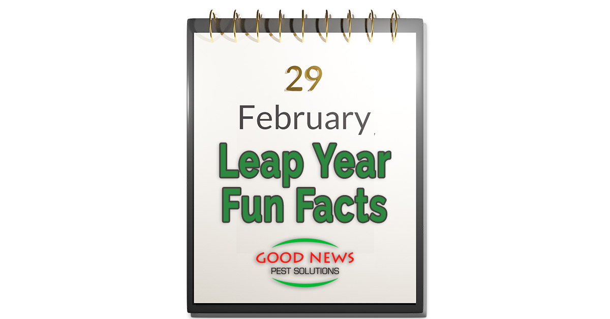 Leap Year Fun Facts