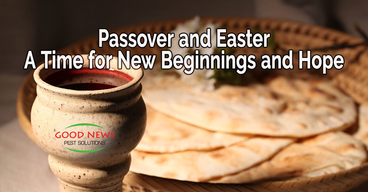 Easter and Passover Titles Offer Hope and Humor