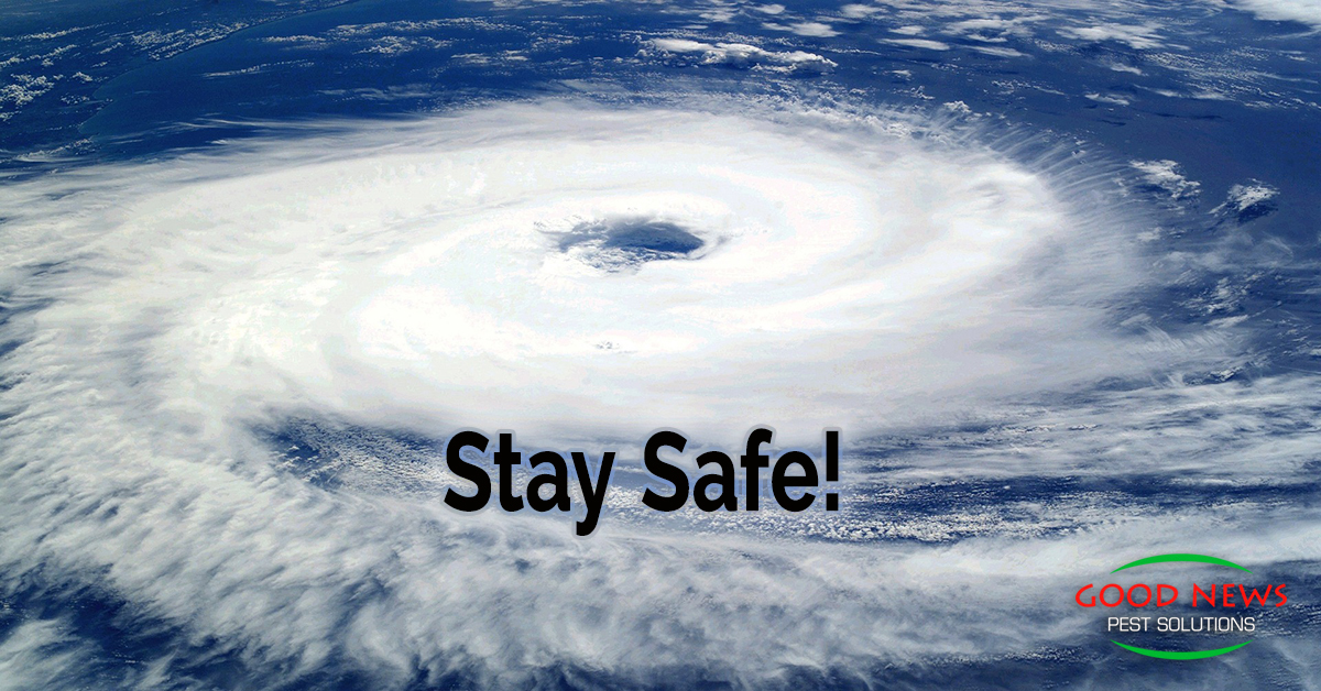 Stay Safe!