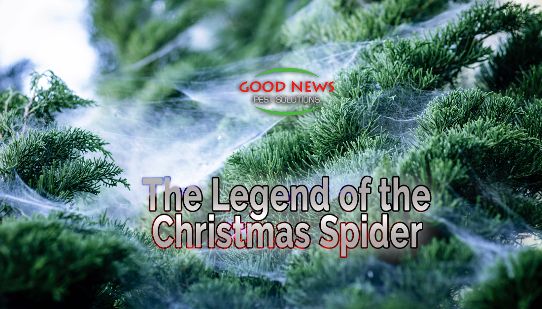 the-legend-of-the-christmas-spider-pest-control-in-venice-fl-good
