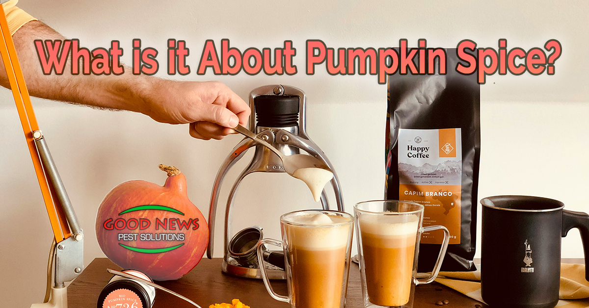 What is it About Pumpkin Spice?